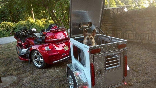 motorcycle dog box